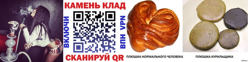 blacksprut ONION  Богородск  Гашиш Cannabis 