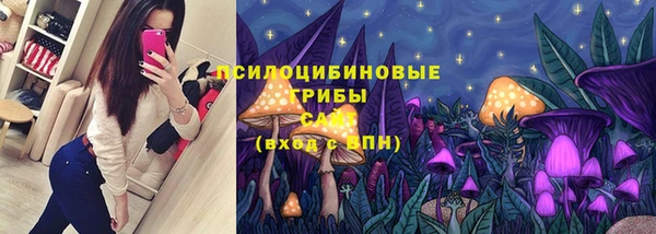 PSILOCYBIN Алексин