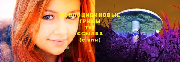 а пвп мука Алзамай