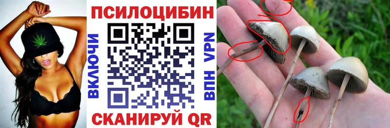 Псилоцибиновые грибы ЛСД  Богородск 